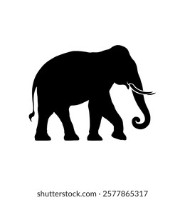 Cute indian elephant silhouette icon vector illustration design.