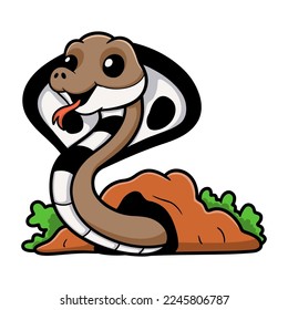 Cute indian king cobra cartoon out from hole