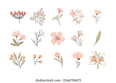 Cute Individual Watercolor Flower Vector Collection