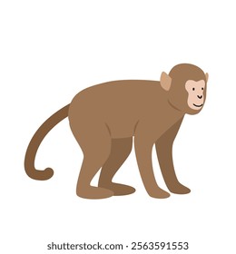 Cute Indochinese rhesus macaque monkey cartoon clipart. Monkey vector illustration in flat style. Old World monkey. Hand-drawn wild animal concept