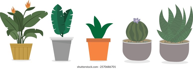 Cute Indoor Plants Vector Set. Plants in Ceramic Pots, Cups