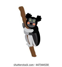 Cute Indri climbing a tree animal cartoon character isolated on white background. 