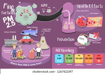 Cute info graphic of Fine Particles PM 2.5