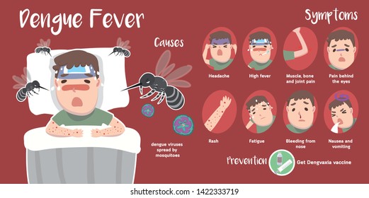 Cute Infographic of Dengue Fever