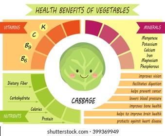 Cute infographic page of Health Benefits of Cabbage like vitamins, minerals, nutrients