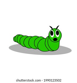 cute insect caterpillar, oddly shaped