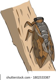 Cute Insect Cicada Illustration Material