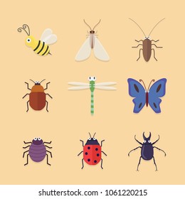 Cute Insect Collection for Spring Time