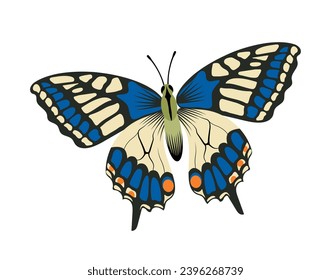 Cute insect concept. Blue and white butterfly. Fauna, nature and wild life. Zoology and biology. Spring and summer season. Cartoon flat vector collection isolated on white background