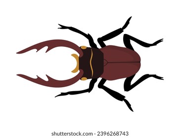 Cute insect concept. Brown bug or beetle. Fauna and wild life. Zoology and biology. Spring and summer. Poster or banner. Cartoon flat vector collection isolated on white background