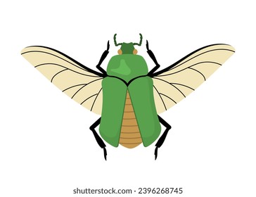 Cute insect concept. Green bug with wings. Fauna and wild life. Zoology and biology. Spring and summer. Template and layout. Cartoon flat vector collection isolated on white background
