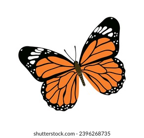 Cute insect concept. Orange butterfly or moth. Fauna, nature and wild life. Zoology and biology. Spring and summer. Poster or banner. Cartoon flat vector collection isolated on white background