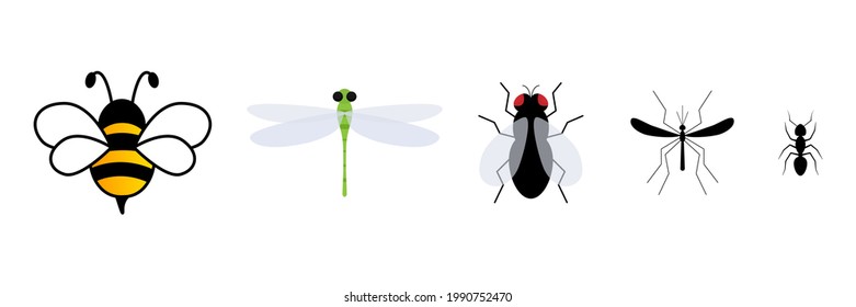 Cute insect flat character set. Cute bee, dragonfly, fly, mosquito and ant. Vector isolate on white