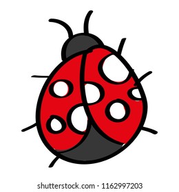 cute insect ladybug animal wildlife icon
