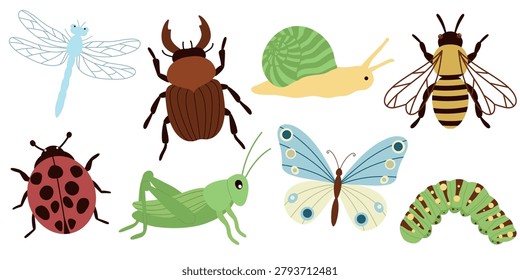 Cute Insects and Bugs Set. Snail, Caterpillar, Grasshopper, Butterfly, Ladybug, Dung beetle, Dragonfly, Bee. Hand drawn collection