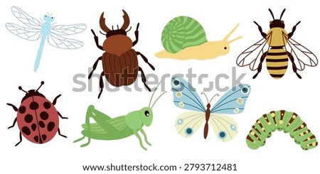 Cute Insects and Bugs Set. Snail, Caterpillar, Grasshopper, Butterfly, Ladybug, Dung beetle, Dragonfly, Bee. Hand drawn collection