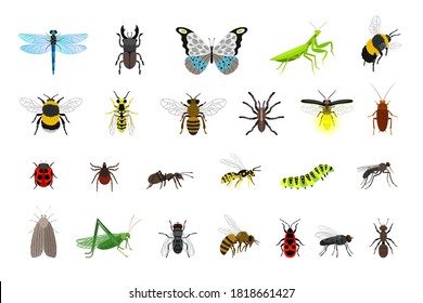 Cute insects collection. Cartoon small colorful beetles and caterpillars, bugs and butterfly, vector illustration of creatures of science entomology isolated on white background