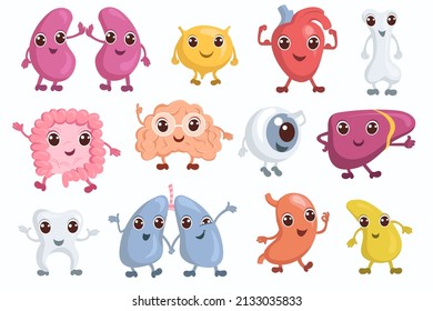 Cute internal organs characters. Funny human brain, liver, lung and stomach. Healthy body system. Heart and bladder with happy faces. Educational medical icons. Vector