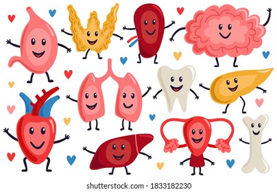 Órganos internos. Corazón, estómago, pulmones y cerebro sanos y divertidos, personajes de órganos humanos medicinales, conjunto de ilustraciones vectoriales de órganos biológicos. Órganos fuertes sanos con caras felices