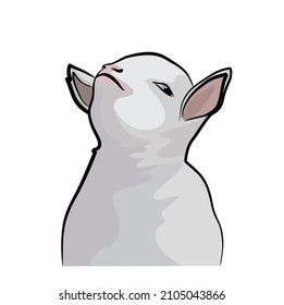 Meme de internet lindo con ovejas en vector. Ilustración divertida para su comunicación. Animal en vector aislado en el fondo blanco