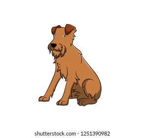 Cute Irish Terrier Cartoon Dog. Vector illustration of purebred irish terrier dog.