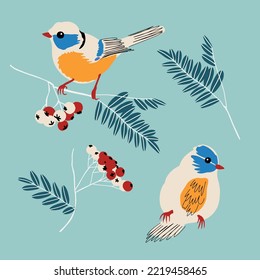 Cute isolated hand drawn vector titmouse birds. Titmouse birds and rowan brunches. Pretty minimal vector design for stationery, packaging, web.