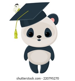 Cute isolated over white panda in a graduation cap