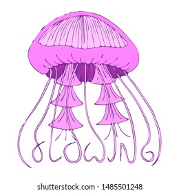 Cute isolated pink jellyfish with flowing lettering. White background. Hand drawn doodle style vector illustration.
