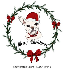 Cute isolated vector beige French bulldog in Christmas hat in wreath