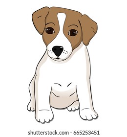 Cute Jack Russel terrier puppy. Vector illustration