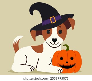 Cute jack russell dog in a witchs hat and with a pumpkin