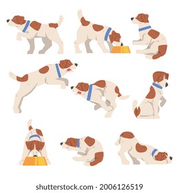 Cute Jack Russell Terrier Activity Set, Friendly Pet Animal in Various Poses Cartoon Vector Illustration