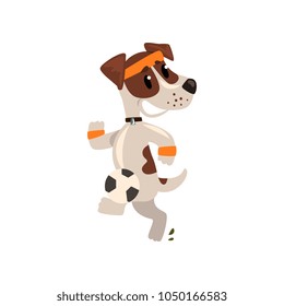 Cute jack russell terrier athlete jogging, funny sportive pet dog character doing sports vector Illustration on a white background