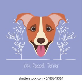 cute jack russell terrier dog pet head character