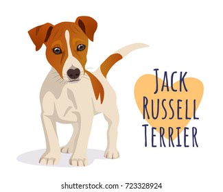 Cute Jack Russell Terrier dog. Character mascot. Vector clip art