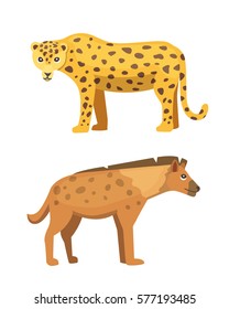 Cute jaguar and hyena stands vector illustration. African animals