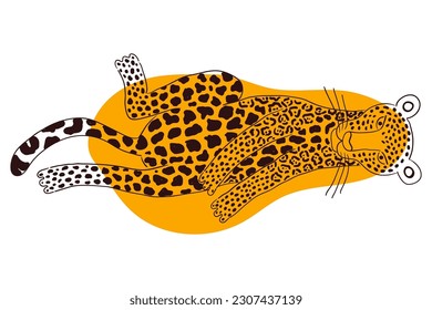 Cute jaguar colocando la ilustración de caricaturas dibujadas a mano, boceto. Arte de línea, diseño de estilo de dibujo, vector aislado. Animales tropicales, vida silvestre de la jungla, gatos grandes, safari, naturaleza, elemento impreso