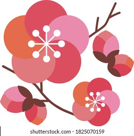 cute Japanese apricot blossom illustration