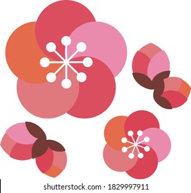 cute Japanese apricot blossom illustration