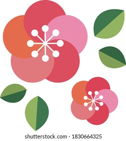 cute Japanese apricot blossom illustration