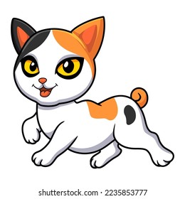 Cute japanese bobtail cat cartoon