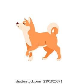 Cute Japanese dog Shiba Inu. Adorable playful puppy. Happy dog. Colored flat vector illustration of sweet funny Akita isolated on white background