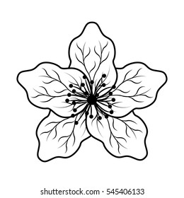 Cute Japanese Flower Icon Vector Illustration Design