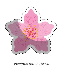cute japanese flower icon vector illustration design