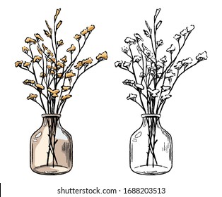 Cute jar with decorative plants. Hand drawn vector illustration. Set of contour and color drawings isolated on white. Vintage engraving, botanical sketch. Elements for design, card, print, sticker etc