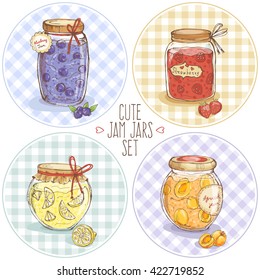 Cute jars of strawberry, lemon, apricot, blueberry jam; hand drawn illustration in sketch style with homemade desserts, berries, fruits, citrus on checkered background in circle; for posters or labels