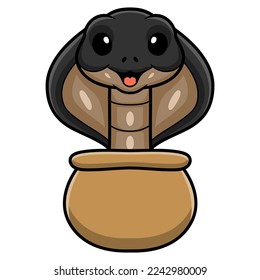 Cute javan spitting cobra cartoon out from bag