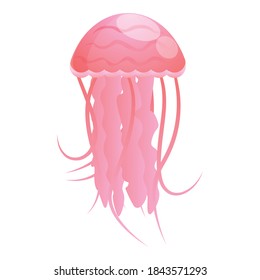 Cute jellyfish icon. Cartoon of cute jellyfish vector icon for web design isolated on white background