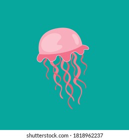 Cute Jellyfish Vector Illustration on White