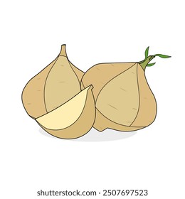 Cute jicama fruit vector design new version. Realistic illustration of whole and slice jicama with shadow in cartoon style. Icon, symbol. Juicy, tasty. Ingredient. Flesh of fruits. Food menu, icon